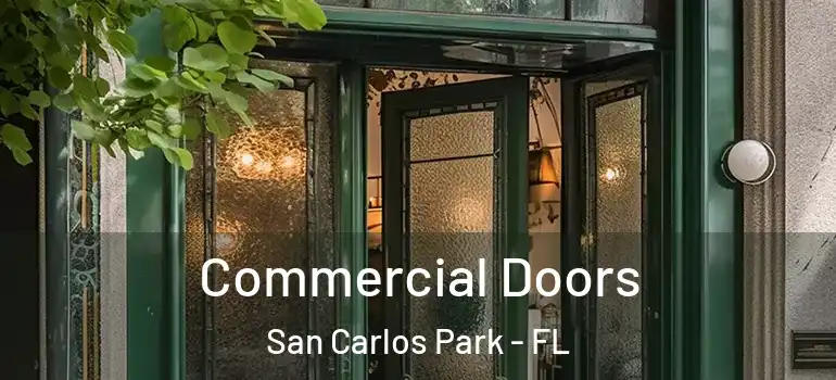 Commercial Doors San Carlos Park - FL