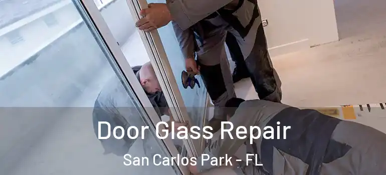 Door Glass Repair San Carlos Park - FL