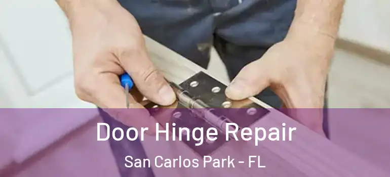Door Hinge Repair San Carlos Park - FL