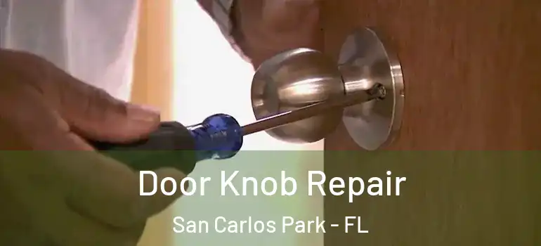 Door Knob Repair San Carlos Park - FL