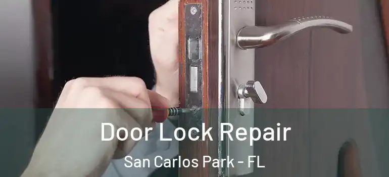 Door Lock Repair San Carlos Park - FL
