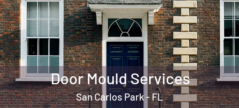 Door Mould Services San Carlos Park - FL