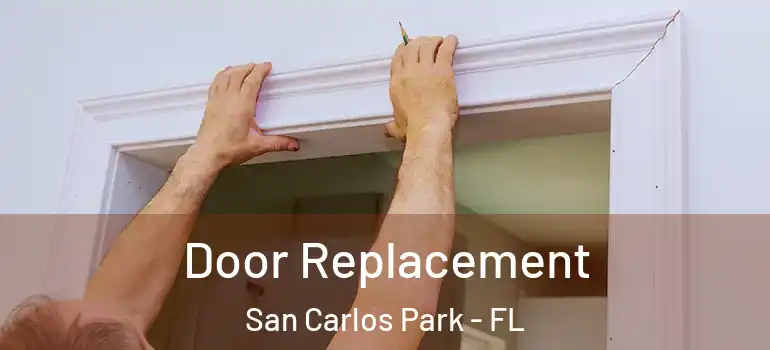 Door Replacement San Carlos Park - FL
