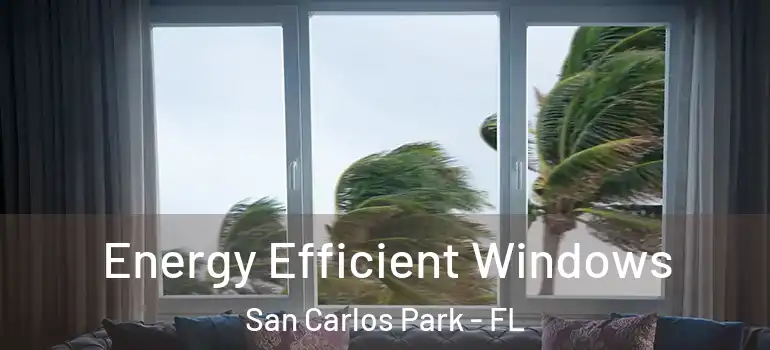 Energy Efficient Windows San Carlos Park - FL