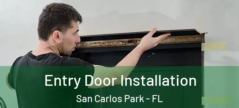 Entry Door Installation San Carlos Park - FL