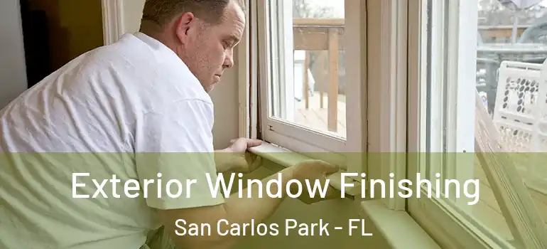 Exterior Window Finishing San Carlos Park - FL
