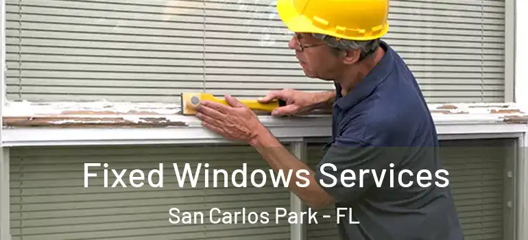 Fixed Windows Services San Carlos Park - FL