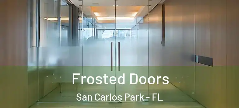 Frosted Doors San Carlos Park - FL