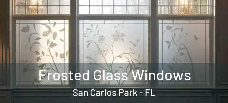 Frosted Glass Windows San Carlos Park - FL