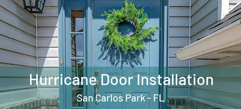 Hurricane Door Installation San Carlos Park - FL
