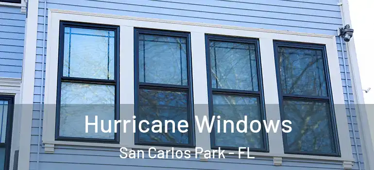 Hurricane Windows San Carlos Park - FL