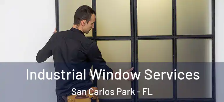 Industrial Window Services San Carlos Park - FL