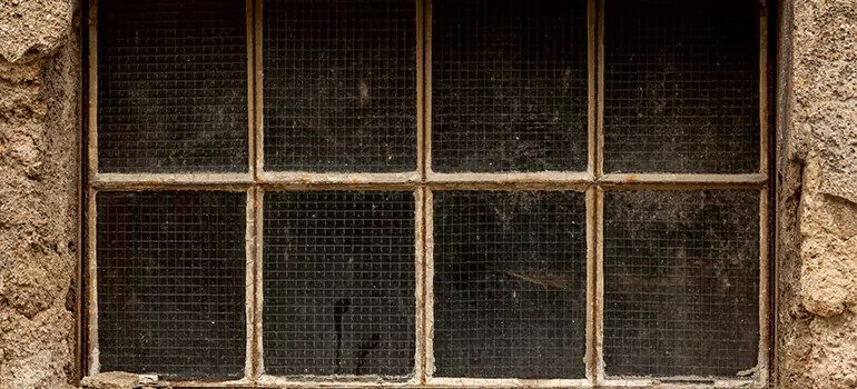 Traditional Double Front Doors in San Carlos Park, FL