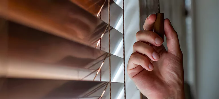 Double Roller Blinds in San Carlos Park, FL