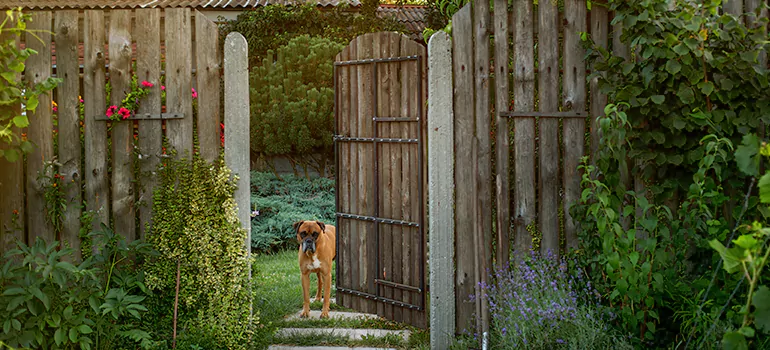 Winter Garden Garage Door Repair in San Carlos Park,[location field=state]