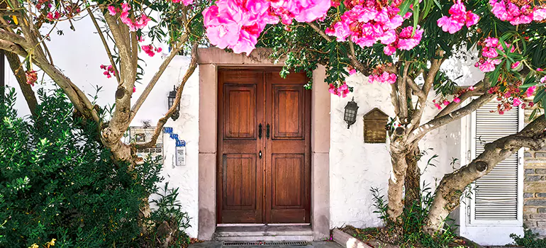 Traditional 4 Panel Internal Doors in San Carlos Park, FL