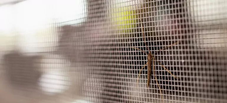Repair Mosquito Mesh For Windows in San Carlos Park, FL