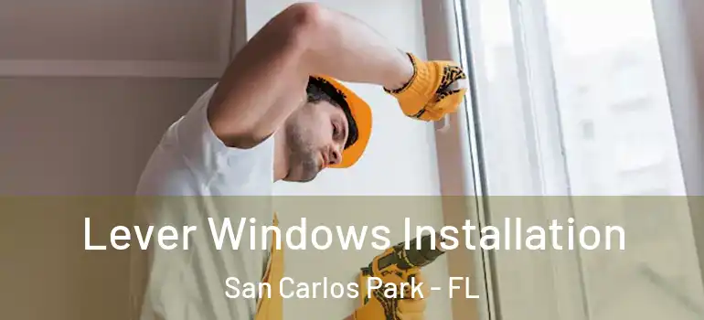 Lever Windows Installation San Carlos Park - FL
