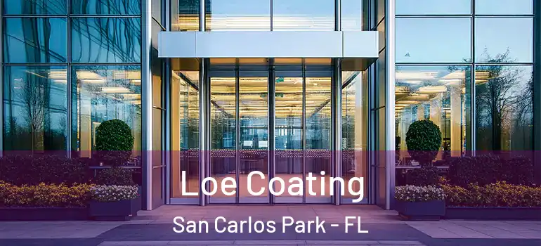 Loe Coating San Carlos Park - FL