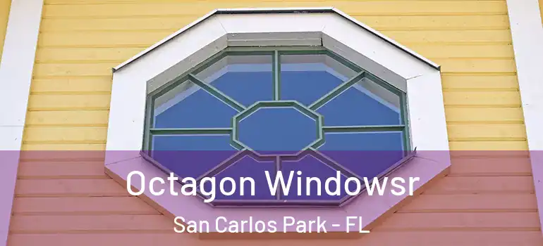Octagon Windowsr San Carlos Park - FL