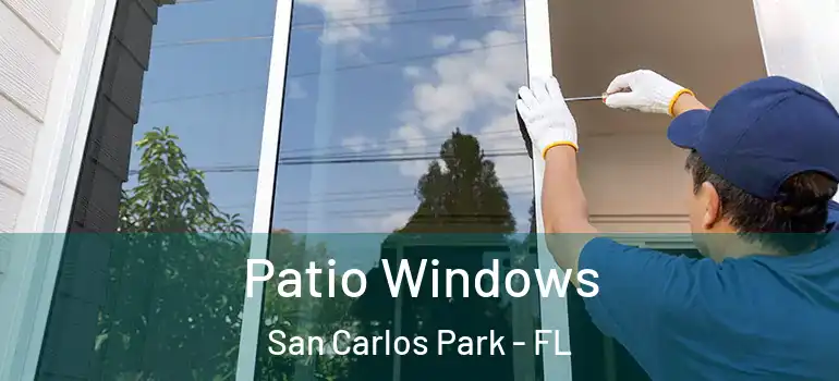Patio Windows San Carlos Park - FL