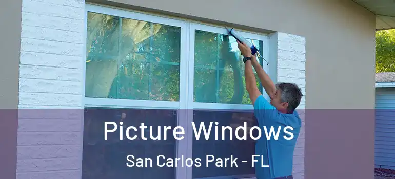 Picture Windows San Carlos Park - FL