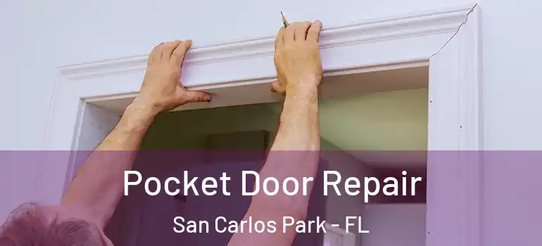 Pocket Door Repair San Carlos Park - FL
