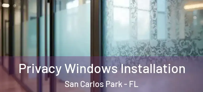 Privacy Windows Installation San Carlos Park - FL