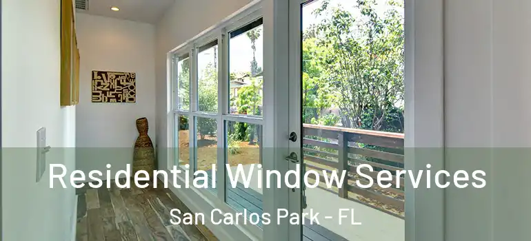 Residential Window Services San Carlos Park - FL