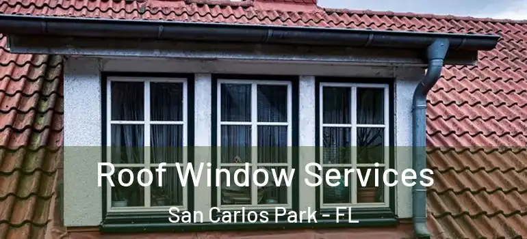 Roof Window Services San Carlos Park - FL