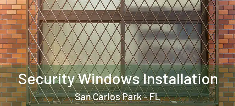 Security Windows Installation San Carlos Park - FL