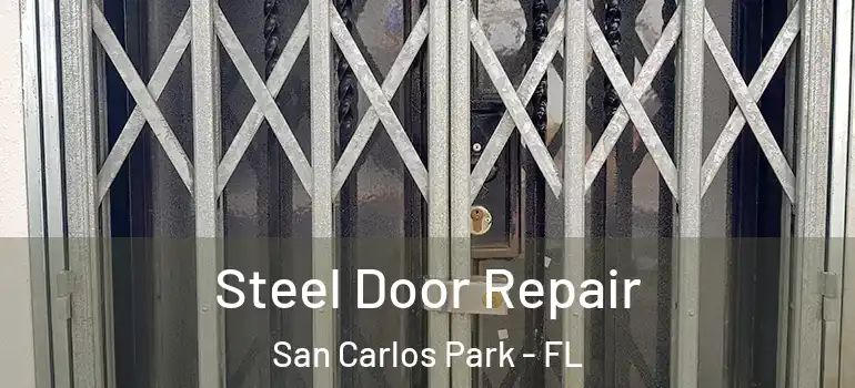 Steel Door Repair San Carlos Park - FL
