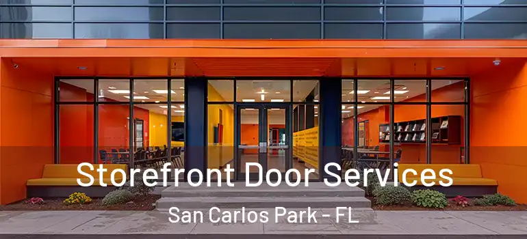 Storefront Door Services San Carlos Park - FL