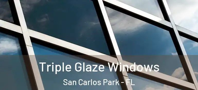 Triple Glaze Windows San Carlos Park - FL
