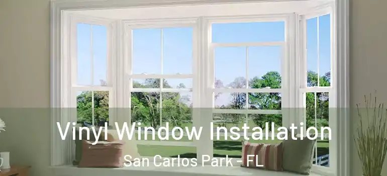 Vinyl Window Installation San Carlos Park - FL