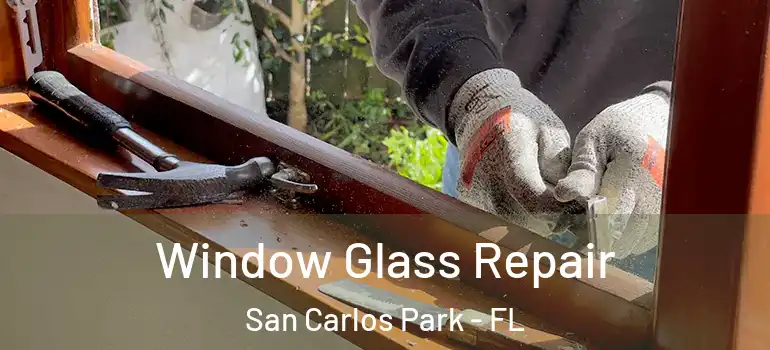 Window Glass Repair San Carlos Park - FL