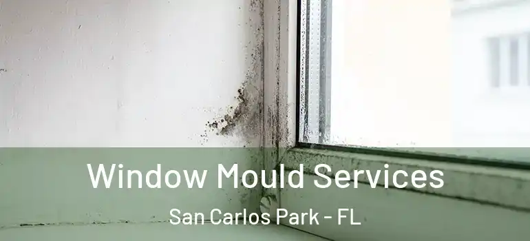 Window Mould Services San Carlos Park - FL