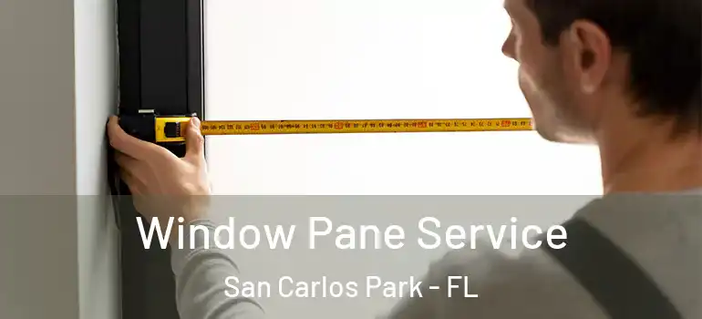 Window Pane Service San Carlos Park - FL