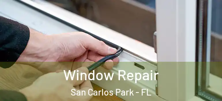 Window Repair San Carlos Park - FL