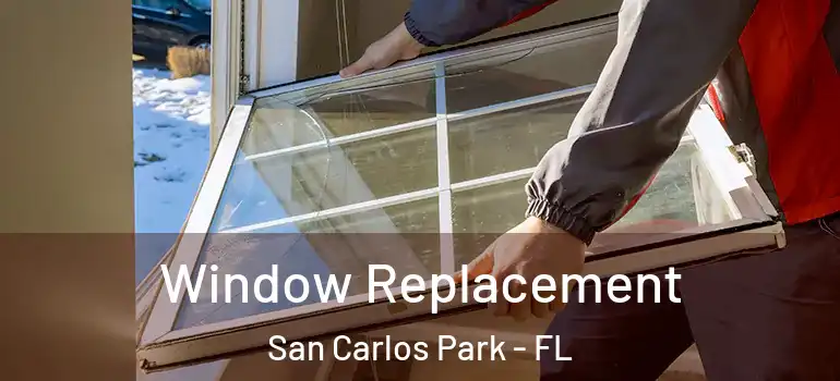 Window Replacement San Carlos Park - FL