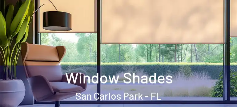 Window Shades San Carlos Park - FL