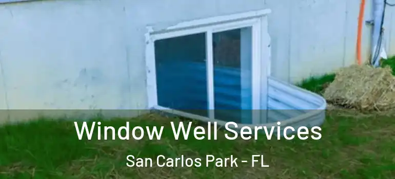 Window Well Services San Carlos Park - FL