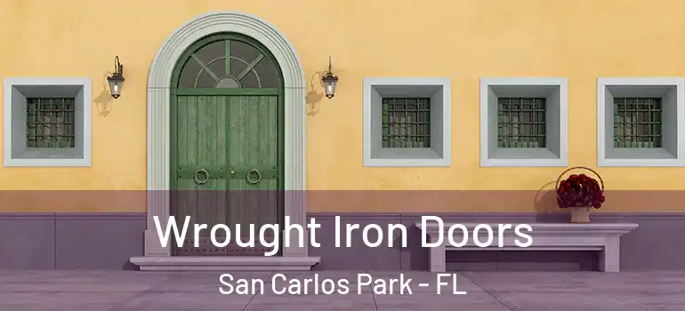 Wrought Iron Doors San Carlos Park - FL